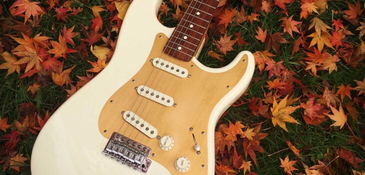 Guitar Story #17: 1995 Fender MIM Stratocaster - Chris And Rick ...